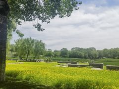 -北坞公园