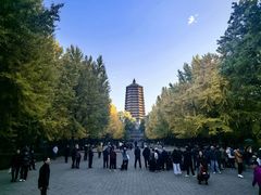 -玲珑塔公园
