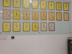 -北京观赏动物医院·24小时大型综合·猫专科·异宠专科