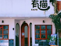 -有猫主题·治愈系猫咖(曾厝垵店)