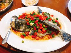 蒸石斑鱼-香山家宴