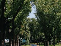 -葛仙湖公园