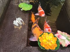 -韩麦大冷面(桂花街直营店)