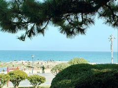 -日照灯塔风景区