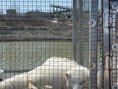 -洛阳马蹄泉旅游度假村