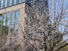 -新都绿城喜来登酒店大堂吧