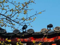 -西安大兴汤院遗址公园