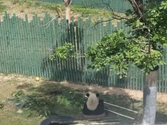 -沈阳森林动物园