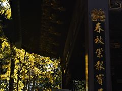 -汇龙潭