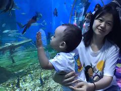 -顺德南宏海立方海洋公园