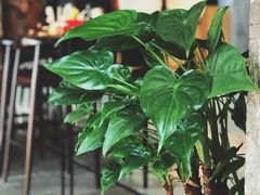 -元生咖啡(陶溪川店)