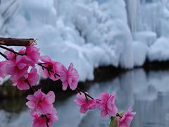 -沕沕水生态风景区