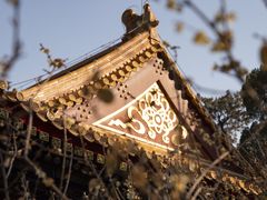 -国家植物园