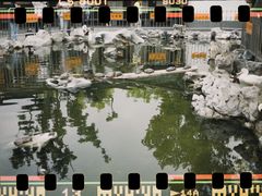 -龙华寺