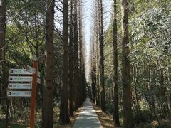 -同里国家湿地公园