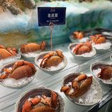 魔都海鲜自助天花板，名贵食材的集会