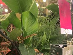 -沿途四季·云南菜·诗酒茶(蓝色港湾店)