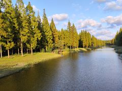 -黄海国家森林公园