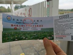 -微山湖红荷湿地景区
