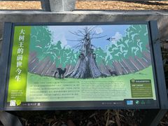 -天目山大树王景区