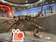 -国家自然博物馆