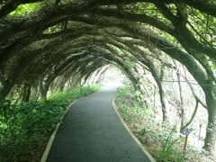 -广西壮族自治区药用植物园