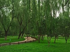 -莲花池公园