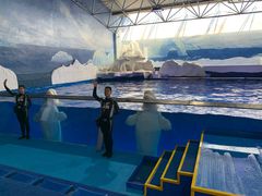 -秦皇岛乐岛海洋王国