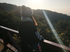 -普陀山佛顶山索道
