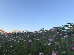 -满洲里口岸套娃景区