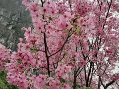 -南溪山景区