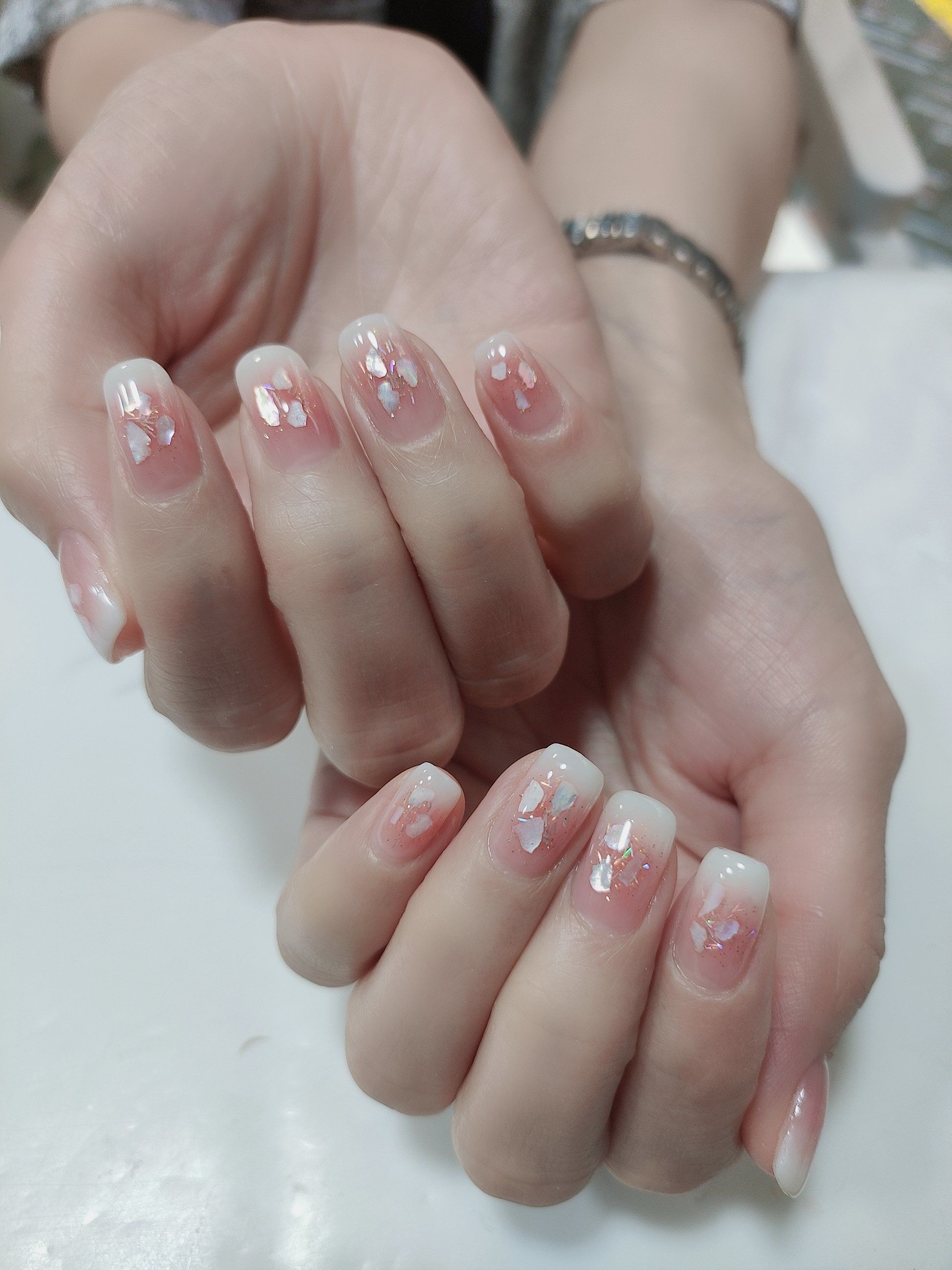 巨显白的双色晕染贝壳甲