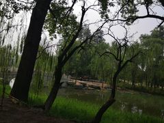 景点-晋祠公园