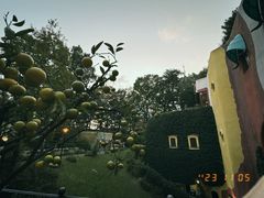 -三鹰之森吉卜力美术馆