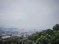-福道