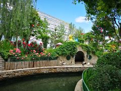 -南宫五洲植物乐园