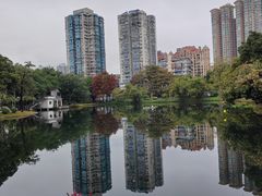-晓港公园