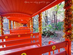 -上海共青森林公园