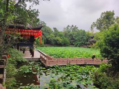 -房湖公园