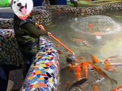 -江和美海洋公园