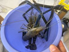 -蟹天蟹地农家菜·阳澄湖大闸蟹(浅水湾店)