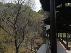 -八大山人梅湖景区