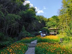 -宁波浙东大竹海景区