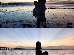 -宝安西湾红树林湿地公园