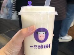 -一只酸奶牛(八一路店)
