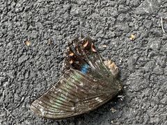 -松花湖风景名胜区