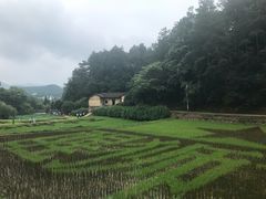 -韶山毛泽东同志故居