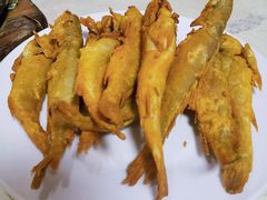 炸黄花鱼-华春餐馆(鱼山路店)