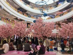 -万达广场(金堂店)