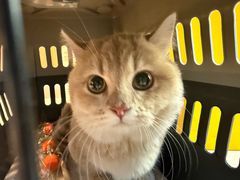 -Manner Coffee(星方汇广场店)